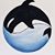 Lynnette McElwain Mackey's profile image