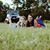 Kristen Kogler Jeffords's profile image