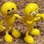 Brenda Jackson Gillham's profile image