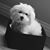 Michelle Keck Crainshaw's profile image