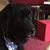 Ruth Hassing's profile image