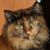 Evelyn Grier's profile image