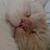 Mellissa Beard's profile image