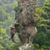 Jan Stargazer Tkach's profile image