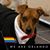 Victor Jimenez's profile image