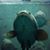 Carlos Torres's profile image