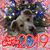 Claire Morris's profile image