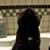 Sarah Spelbring's profile image