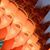 Bobbie Wimer's profile image