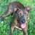 Michelle Blasco Crawford's profile image