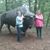 Cindy Beckner's profile image