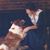 Pam Leptich's profile image