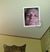 Carrie Scott's profile image