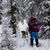 Debbie van Orden's profile image