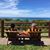 Natalie Jackson-Schott's profile image