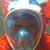 Sheila Meadows McEntyre's profile image