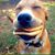 Veezy Price's profile image
