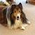Mae Butler's profile image
