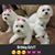 Neni Alb's profile image