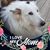 Shirley Lappert's profile image
