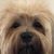 Diane De La Rosa's profile image
