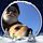 Dave V.'s profile image