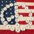 Shelley Clark's profile image