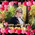 Daphne Butler Hinzman's profile image