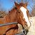 Cynthia Lynn Cunningham's profile image