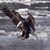 Bob Vanderheyd's profile image