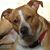 Kim Hickey's profile image