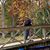 Allison Boughner's profile image