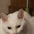 Brenda Morrison's profile image