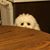 Kathy Lautner's profile image