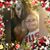 Ann Sullivan's profile image