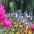 Dena Lockwood's profile image