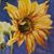 Missy Hildebrand's profile image