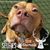 Linda Hobson's profile image