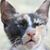 Glenn Mentel's profile image