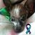 Noel Weibel's profile image