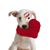 Robin Mouser's profile image