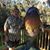 Tony Diedrich's profile image