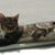 Louise McCumber Lanahan's profile image