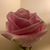Pamela Davis's profile image