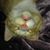 Amanda Hubbard's profile image