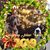 Maria Licht Mancos's profile image