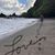 Elaine Shaffer's profile image