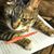 Dawn L. Lubertowicz's profile image