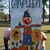 Paula Black Fialk's profile image
