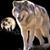 Ron Yorgey's profile image